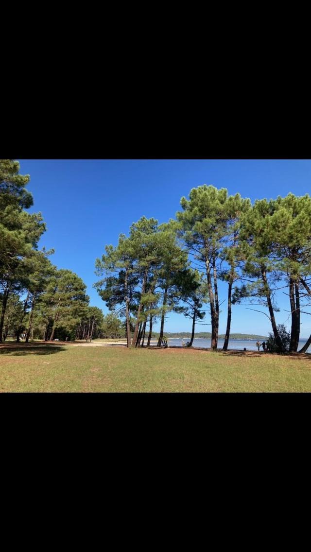 Villa Dune ビスカロッス エクステリア 写真